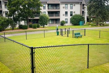 Dog park